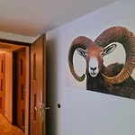 Casa de Campo Rozbrykany Muflon *