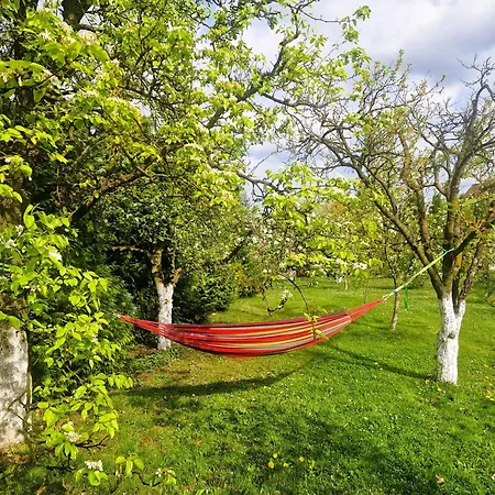 Rozbrykany Muflon Casa rural *