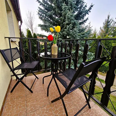 Country house Rozbrykany Muflon Witoszow Dolny