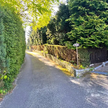 Rozbrykany Muflon Witoszow Dolny