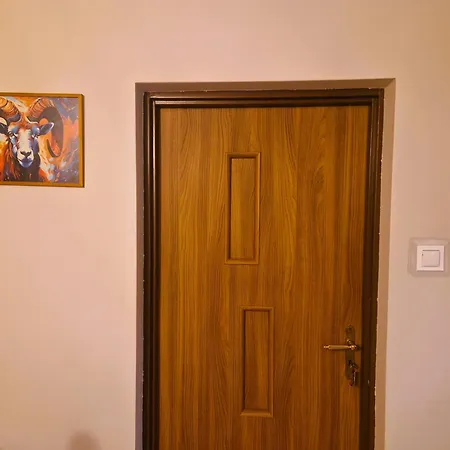 Rozbrykany Muflon Witoszow Dolny