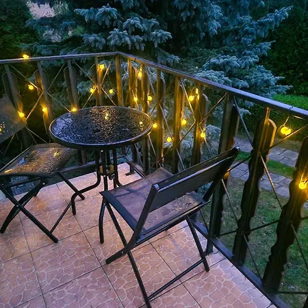 Rozbrykany Muflon Witoszow Dolny