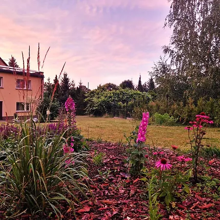 Rozbrykany Muflon Country house *