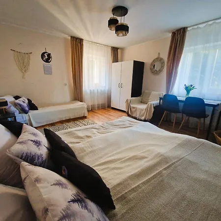 Rozbrykany Muflon Country house *