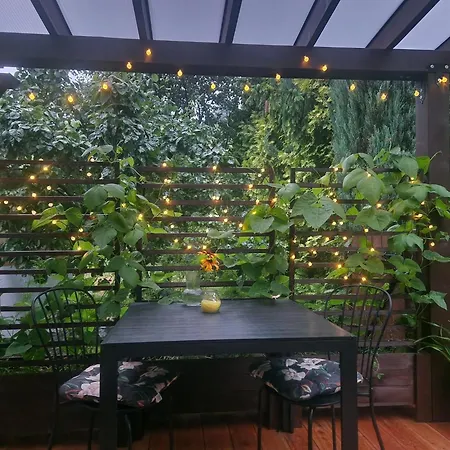 Rozbrykany Muflon * Witoszow Dolny