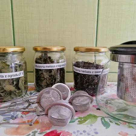 Rozbrykany Muflon Witoszow Dolny