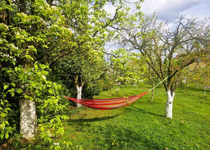 Rozbrykany Muflon Casa de Campo *