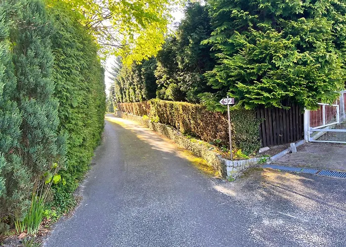 Rozbrykany Muflon Witoszow Dolny