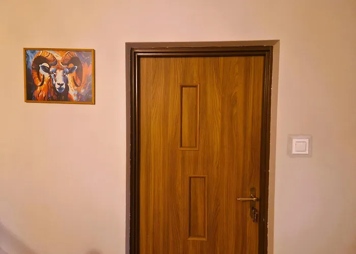 Rozbrykany Muflon Witoszow Dolny