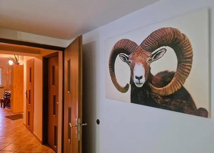 Séjour à la campagne Rozbrykany Muflon *