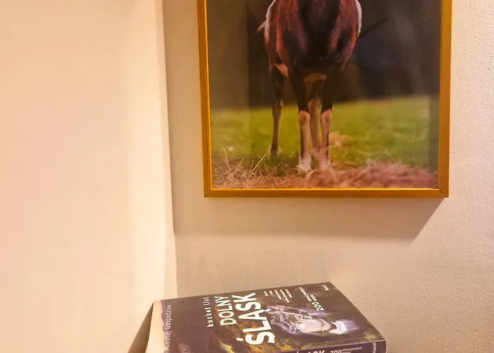 Rozbrykany Muflon * Witoszow Dolny