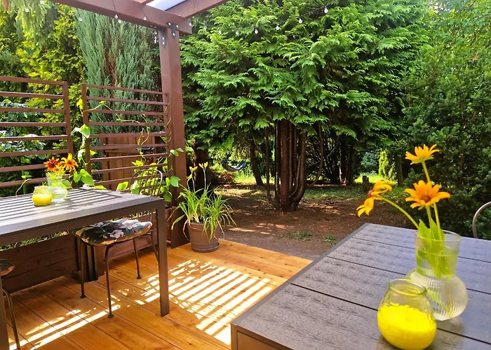 Rozbrykany Muflon Witoszow Dolny