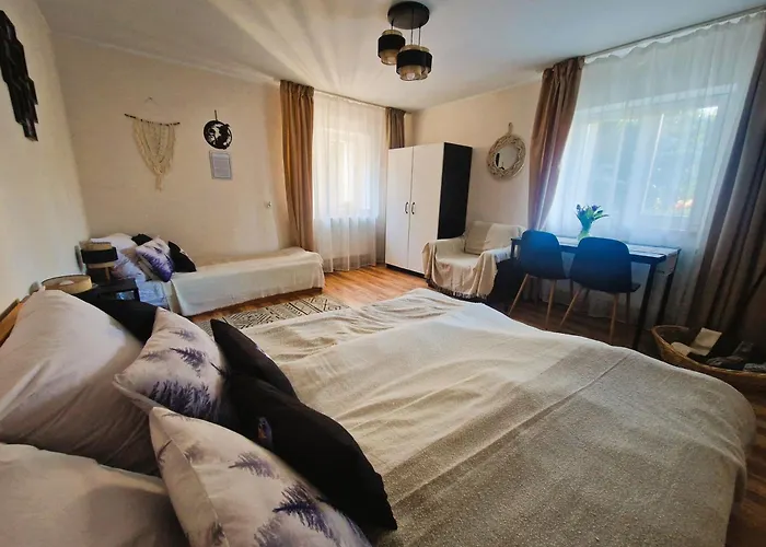 Rozbrykany Muflon Séjour à la campagne *