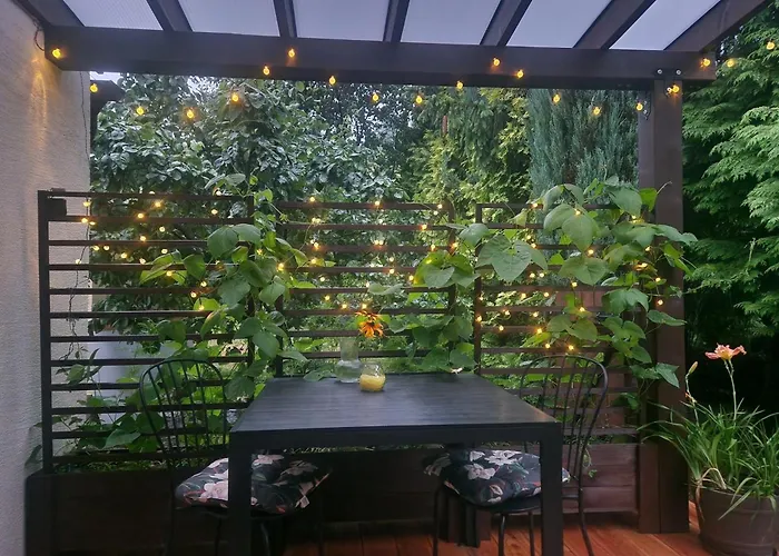 Rozbrykany Muflon * Witoszow Dolny