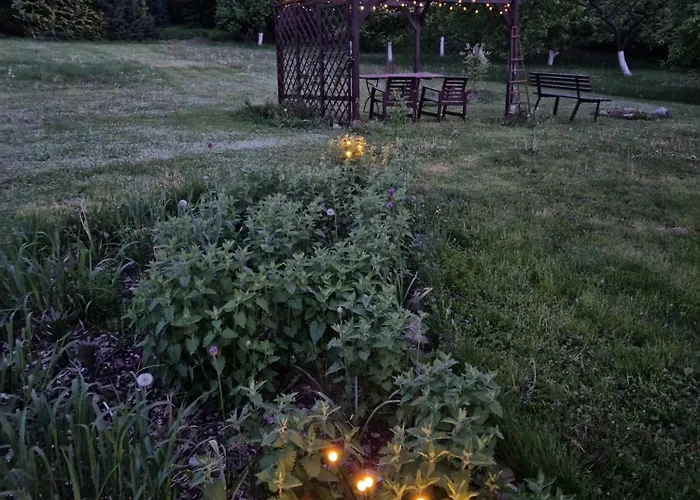 Rozbrykany Muflon Séjour à la campagne